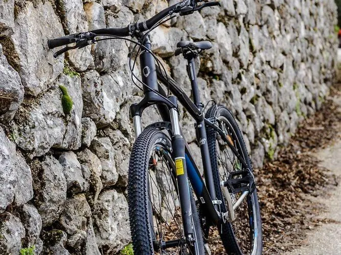 Pave - Six-bedroom With Terrace And Swimming Pool * Dubravka